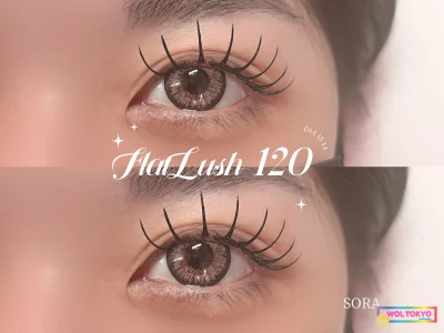 WOLTOKYO Ikebukuro | Eyelash extensions | Flat lash | IkebukuroEyelash extensions 120本 by sora WOLTOKYO Ikebukuro | Eyelash extensions | Flat lash | IkebukuroEyelash extensions 120本 by sora