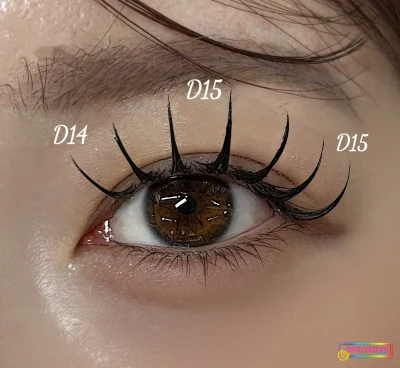 WOLTOKYO Ikebukuro | Eyelash extensions | Korean bundle double flat lash | IkebukuroEyelash extensions Wfurato100束 by runa WOLTOKYO Ikebukuro | Eyelash extensions | Korean bundle double flat lash | IkebukuroEyelash extensions Wfurato100束 by runa