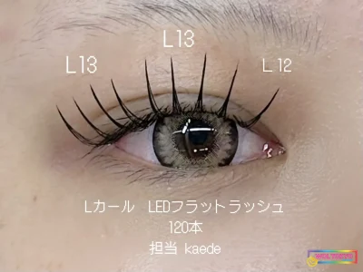 WOLTOKYO 시부야점 | 속눈썹 연장 | LED 연장 | 시부야속눈썹 연장 원홍속눈썹 연장 원홍속눈썹 연장× |華yaka目元 by kaede WOLTOKYO 시부야점 | 속눈썹 연장 | LED 연장 | 시부야속눈썹 연장 원홍속눈썹 연장 원홍속눈썹 연장× |華yaka目元 by kaede