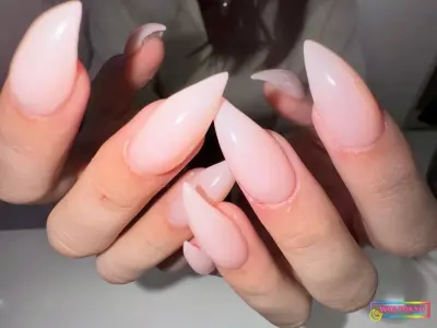 WOLTOKYO Ikebukuro | Nail | Hot Pepper listing | 【Cat-clawNail】 by ホットペッパー WOLTOKYO Ikebukuro | Nail | Hot Pepper listing | 【Cat-clawNail】 by ホットペッパー