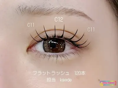 渋谷店 フラットラッシュ120本 ホットペッパー掲載 担当ホットペッパー 渋谷店 フラットラッシュ120本 ホットペッパー掲載 担当ホットペッパー